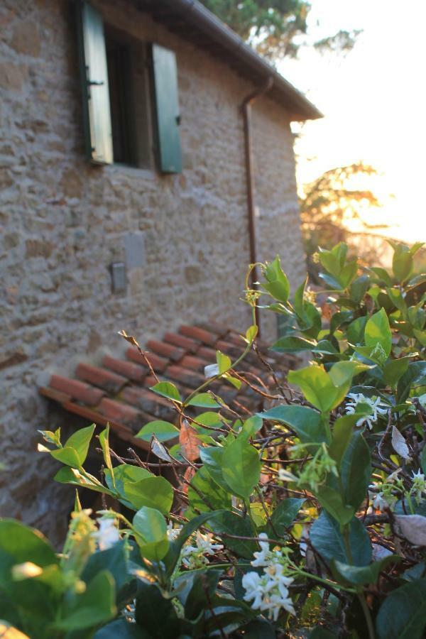 Podere I Rovai-Apt Il Rifugio- In The Heart Of Tuscany Reggello Bagian luar foto
